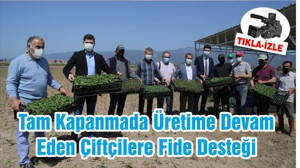 Tam Kapanmada Üretime Devam Eden Çiftçilere Fide Desteği