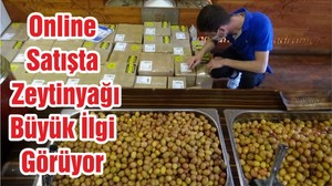 Online Satışta Zeytinyağı Büyük İlgi Görüyor