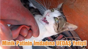 Minik Patinin İmdadına UEDAŞ Yetişti