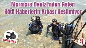 Marmara Denizi'nden Gelen Kötü Haberlerin Arkası Kesilmiyor