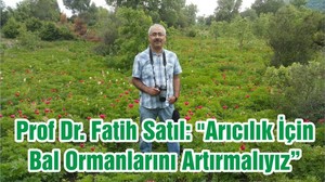 Prof Dr. Fatih Satıl: "Arıcılık İçin Bal Ormanlarını Artırmalıyız"