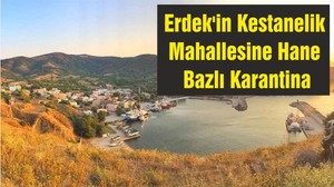 Erdek'in Kestanelik Mahallesine Hane Bazlı Karantina