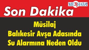 Müsilaj Balıkesir Avşa Adasında Su Alarmına Neden Oldu