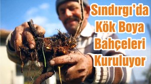 Sındırgı’da Kök Boya Bahçeleri Kuruluyor