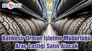 Balıkesir Orman İşletme Müdürlüğü Araç Lastiği Satın Alacak