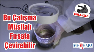 Bu Çalışma Müsilajı Fırsata Çevirebilir