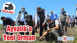 Ayvalık’a Yeni Orman