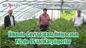 Ülkenin Ceviz Fidanı İhtiyacının Yüzde 95’ini Karşılıyorlar