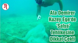 Ata Demirer Kuzey Ege'de ‘Salya’ Tehlikesine Dikkat Çekti