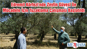 Edremit Körfezi'nde Zeytin Güvesi İle Mücadele İçin Tuzaklama Çalışması Başlatıldı