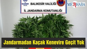 Jandarmadan Kaçak Kenevire Geçit Yok