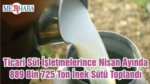 Ticari Süt İşletmelerince Nisan Ayında 889 Bin 725 Ton İnek Sütü Toplandı