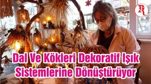 Dal Ve Kökleri Dekoratif Işık Sistemlerine Dönüştürüyor