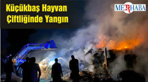 Küçükbaş Hayvan Çiftliğinde Yangın