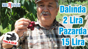 Dalında 2 Lira Pazarda 15 Lira