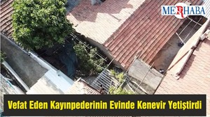 Vefat Eden Kayınpederinin Evinde Kenevir Yetiştirdi