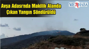 Avşa Adası'nda Makilik Alanda Çıkan Yangın Söndürüldü