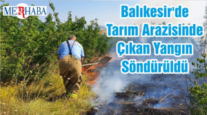 Balıkesir'de Tarım Arazisinde Çıkan Yangın Söndürüldü