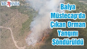 Balya Müstecap'da Çıkan Orman Yangını Söndürüldü