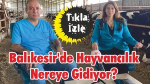 Balıkesir'de Hayvancılık Nereye Gidiyor?