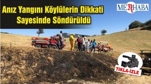 Anız Yangını Köylülerin Dikkati Sayesinde Söndürüldü