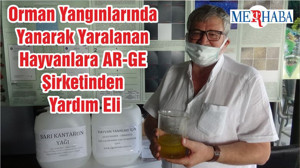 Orman Yangınlarında Yanarak Yaralanan Hayvanlara AR-GE Şirketinden Yardım Eli