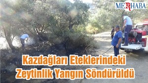 Kazdağları Eteklerindeki Zeytinlik Yangın Söndürüldü