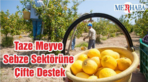 Taze Meyve Sebze Sektörüne Çifte Destek