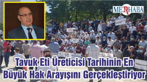 Tavuk Eti Üreticisi Tarihinin En Büyük Hak Arayışını Gerçekleştiriyor