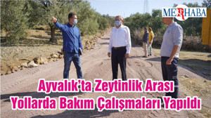 Ayvalık’ta Zeytinlik Arası Yollarda Bakım Çalışmaları Yapıldı