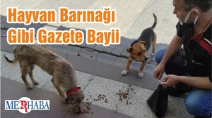 Hayvan Barınağı Gibi Gazete Bayii