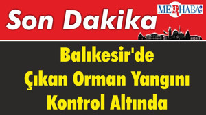Balıkesir'de Çıkan Orman Yangını Kontrol Altında