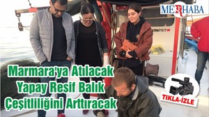 Marmara'ya Atılacak Yapay Resif Balık Çeşitliliğini Arttıracak