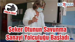 Şeker Otunun Savunma Sanayi Yolculuğu Başladı
