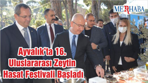 Ayvalık’ta 16. Uluslararası Zeytin Hasat Festivali Başladı