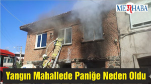 Edremit'te Çıkan Yangın Mahallede Paniğe Neden Oldu