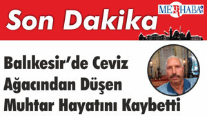 Balıkesir’de Ceviz ağacından düşen muhtar hayatını kaybetti
