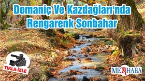 Domaniç Dağları Ve Kazdağları'nda Rengarenk Sonbahar