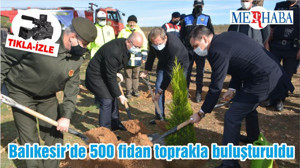 Balıkesir’de 500 fidan toprakla buluşturuldu