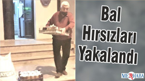 Bal Hırsızları Yakalandı