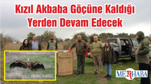Kızıl Akbaba Göçüne Kaldığı Yerden Devam Edecek