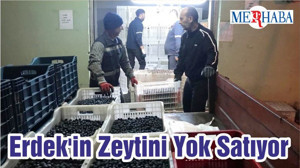 Erdek'in Zeytini Yok Satıyor