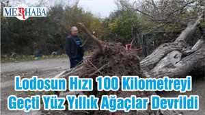 Lodosun Hızı 100 Kilometreyi Geçti Yüz Yıllık Ağaçlar Devrildi