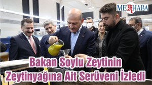 Bakan Soylu Zeytinin Zeytinyağına Ait Serüveni İzledi
