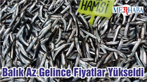 Balık Az Gelince Fiyatlar Yükseldi