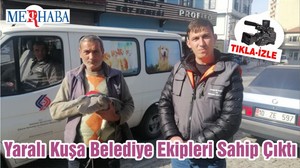 Yaralı Kuşa Belediye Ekipleri Sahip Çıktı