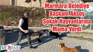 Marmara Belediye Başkanı Aksoy Sokak Hayvanlarına Mama Verdi