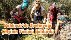 Balıkesir’de Zeytinyağı Çiftçinin Yüzünü Güldürdü