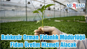 Balıkesir Orman Fidanlık Müdürlüğü Fidan Üretim Hizmeti Alacak