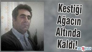 Kestiği Ağacın Altında Kaldı!